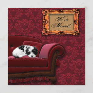 Mudança de Sofá de Puppy de Cartões Postais de End