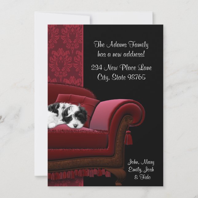 Mudança de Sofá de Puppy de Cartões Postais de End (Frente)