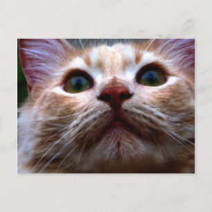 Mudança do cartão de endereço