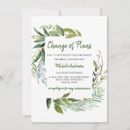 Mudança do Chá de panela Eucalyptus verde