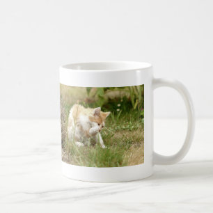Mug. foto, gato, caneca de café