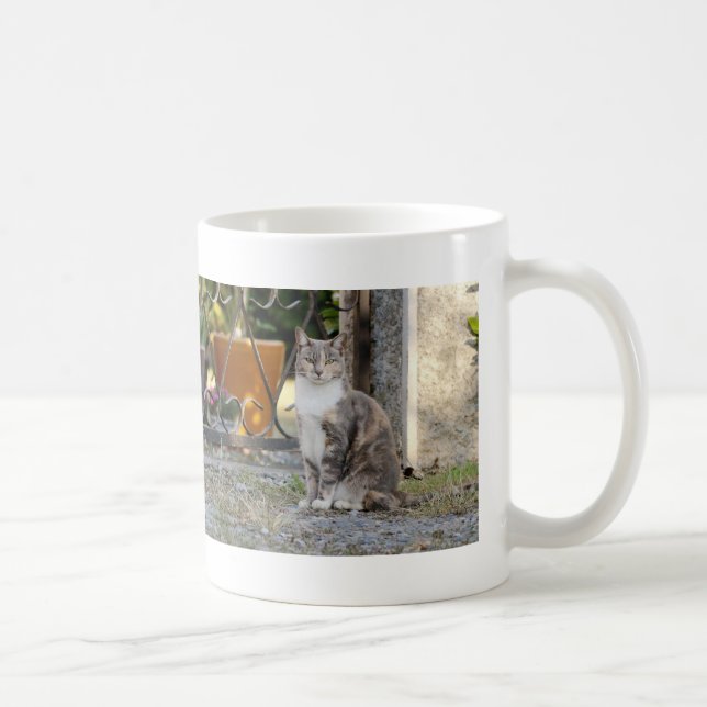 Mug. foto, gato, caneca de café (Direita)
