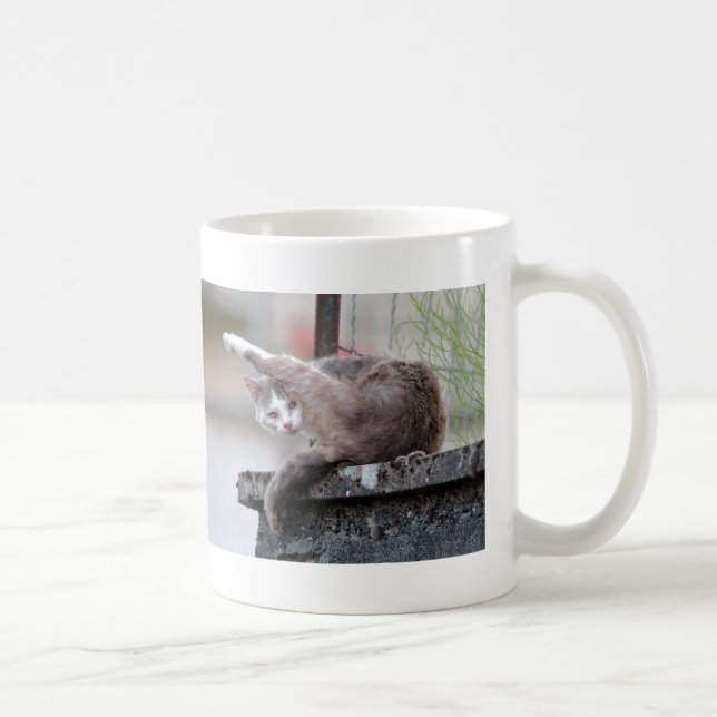 Mug. foto, gato, caneca de café (Direita)