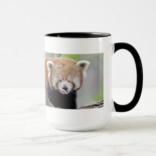 Mug Photo Red Panda, animais. caneca de café
