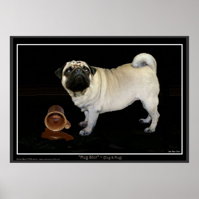 "MUG SHOT" Pug Poster (Frente)