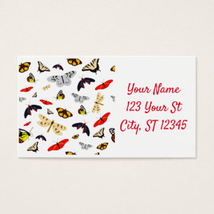 Muitas criaturas das asas Thunder_Cove