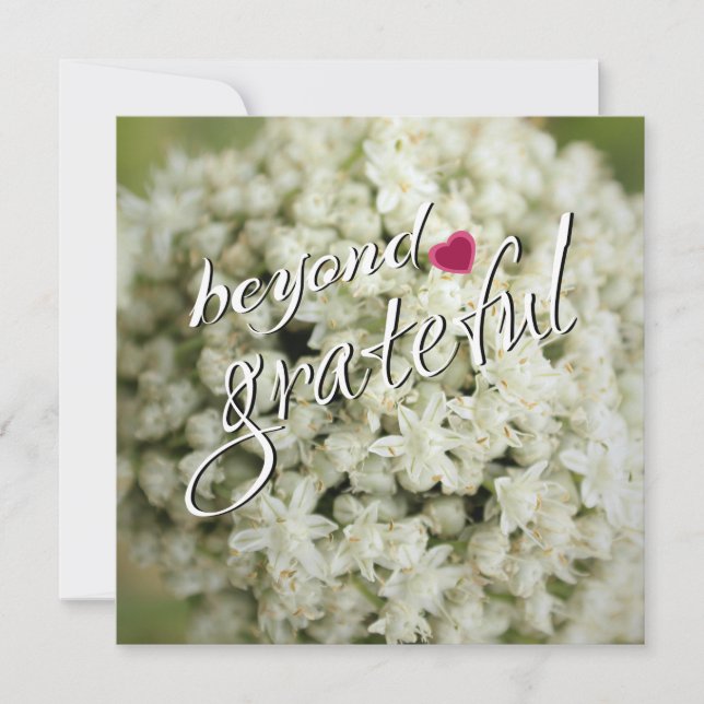 Muito Obrigado, Cartões (Frente)