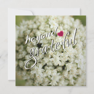 Muito Obrigado, Cartões