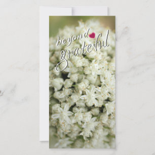 Muito Obrigado, Cartões De Muito Alto