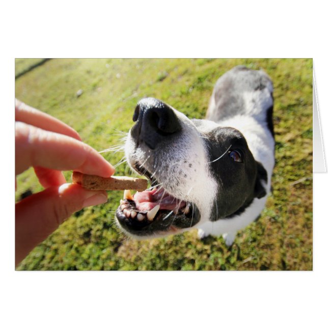 Muito Obrigado Pelo Cartão De Sessão Pet (Frente Horizontal)