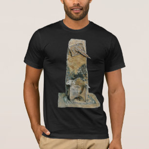 Muito tempo de esperar a camisa favorita