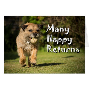 Muitos retornos felizes, Cartão de Terrier de Bord