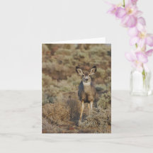 Muley no Sage - Cartão de Nota 4" x 5.6"