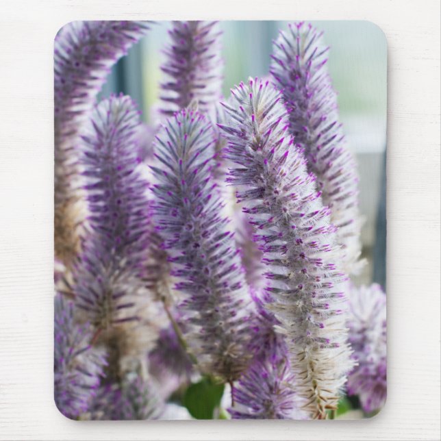 Mulla Mulla Mousepad Rosa (Frente)