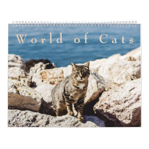 Mundo do calendário dos gatos