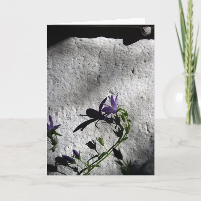 Muro com flores - Cartões de condolências (Frente)