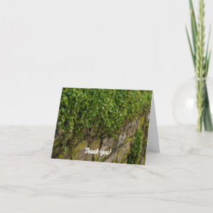 Muro De Cartões de agradecimentos De Ivy