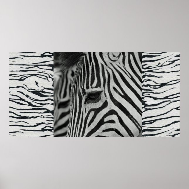 Muro de Trabalho de arte de Zebra Poster (Frente)