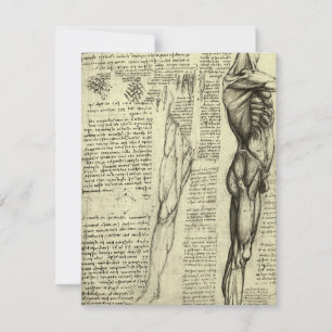 Músculos masculinos da Anatomia Humana de Leonardo