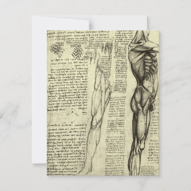 Músculos masculinos da Anatomia Humana de Leonardo (Frente)