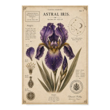 Museu Botânico Vitoriano Astral Iris Impressão