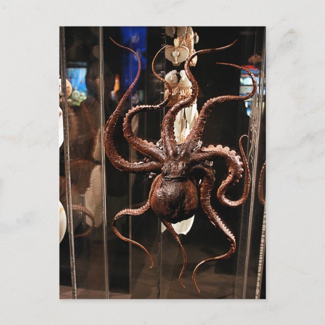 Museu de Houston do cartão da ciência natural (Frente)