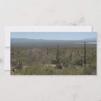 Museu do Deserto Sonora