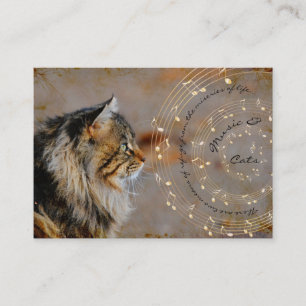 Música & cartões de visitas dos gatos