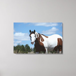 Mustang Custom Canvas Print (30,18"x19,12")1,5",