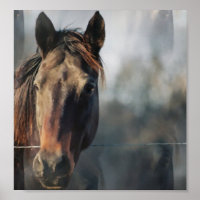 Mustang Horse Poster Impressão