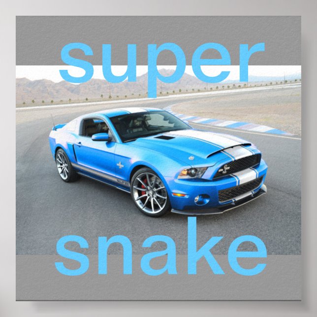 mustang poster (Frente)