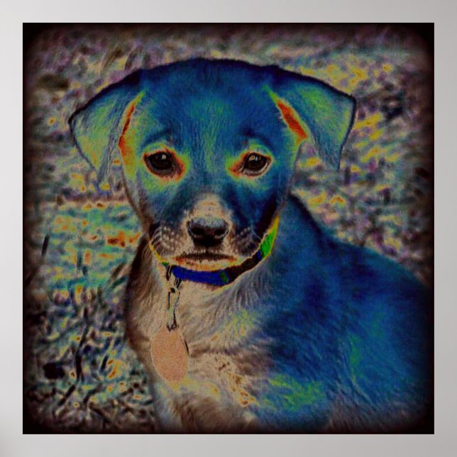 MVB Labrador Poster - Design psicodélico (Frente)