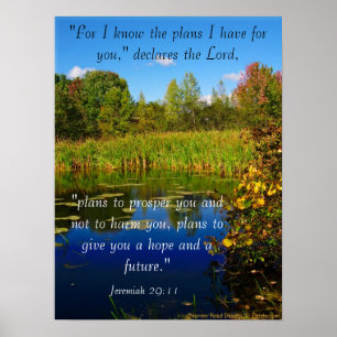 My Plans For You Scripture Poster