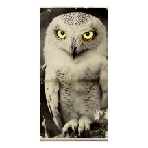 Mysterious Owl Newspaper Impressão - Vintage Folkl