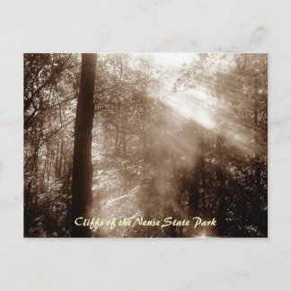 Mystic Morning CN4 - cartão postal