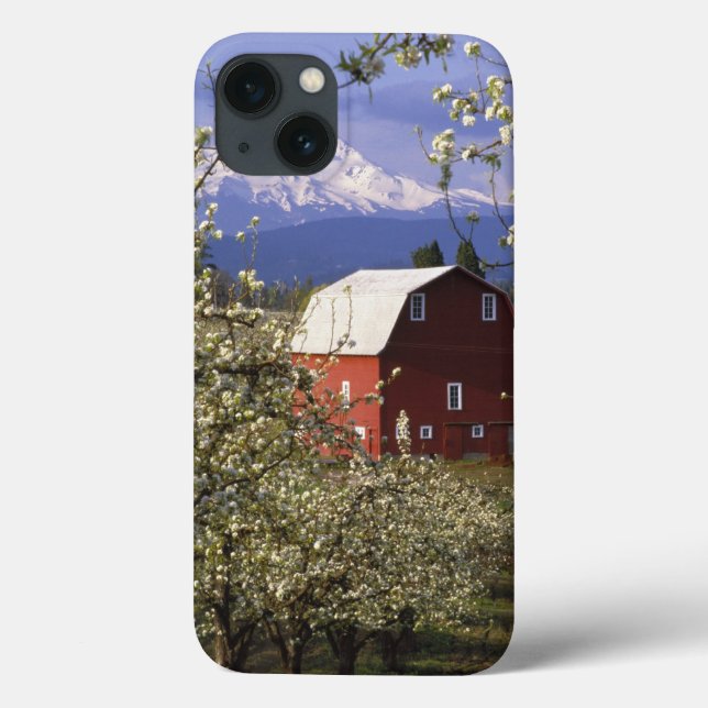 N.A., EUA, Oregon, Hood River County. Vermelho (Verso)