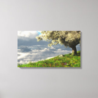 Na Canvas de ponta (Primavera)