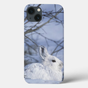NA, EUA, Alaska. Animais selvagens nacionais