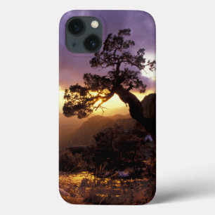 NA, EUA, Arizona, Tucson, Pôr do sol e solitária