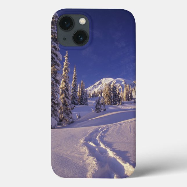 NA, EUA, Washington, Mt. Rainier NP, Neve profunda (Verso)