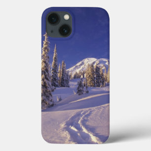 NA, EUA, Washington, Mt. Rainier NP, Neve profunda