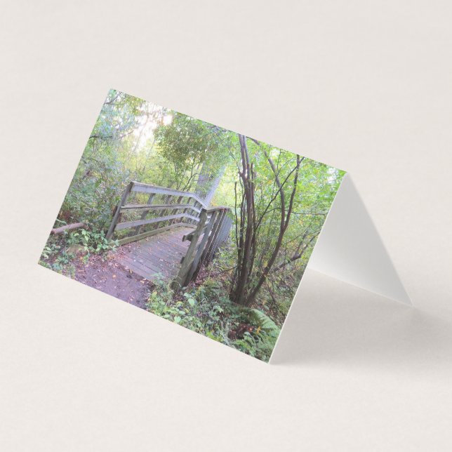 Na floresta n.o 1 (Frente)