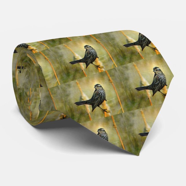 Na Gravata masculina (Rolled)