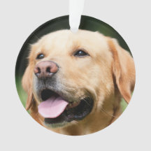 Na Memória - Enfeite de Natal personalizável Gold 