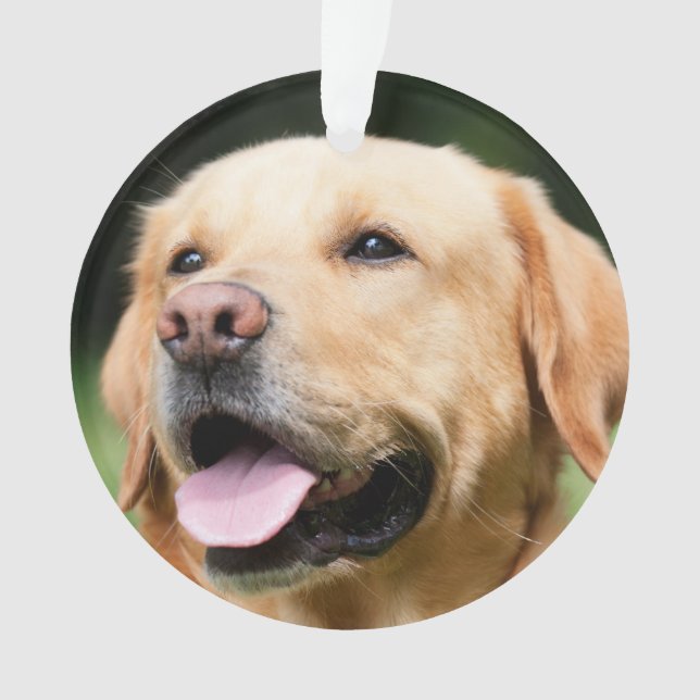 Na Memória - Enfeite de Natal personalizável Gold  (Frente)