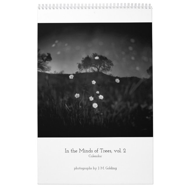 Na mente das árvores, vol. 2 calendário (Capa)