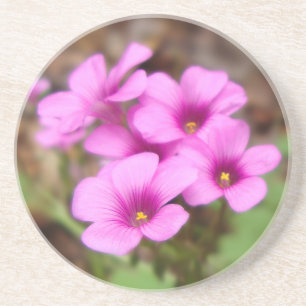 Na minha Porta copos