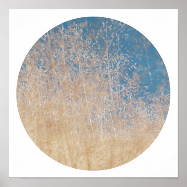 Na moda Ouro Grass Blue Sky Poster (Frente)