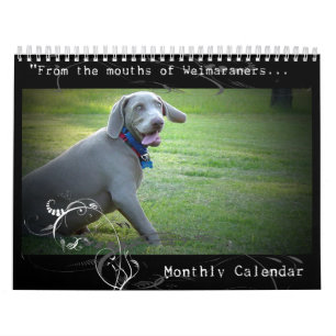 Nação de Weimaraner: Calendário da cotação