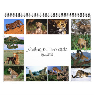 Nada mas leopardos - calendário 2013